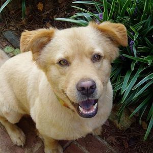 Meet your Posher, Mac